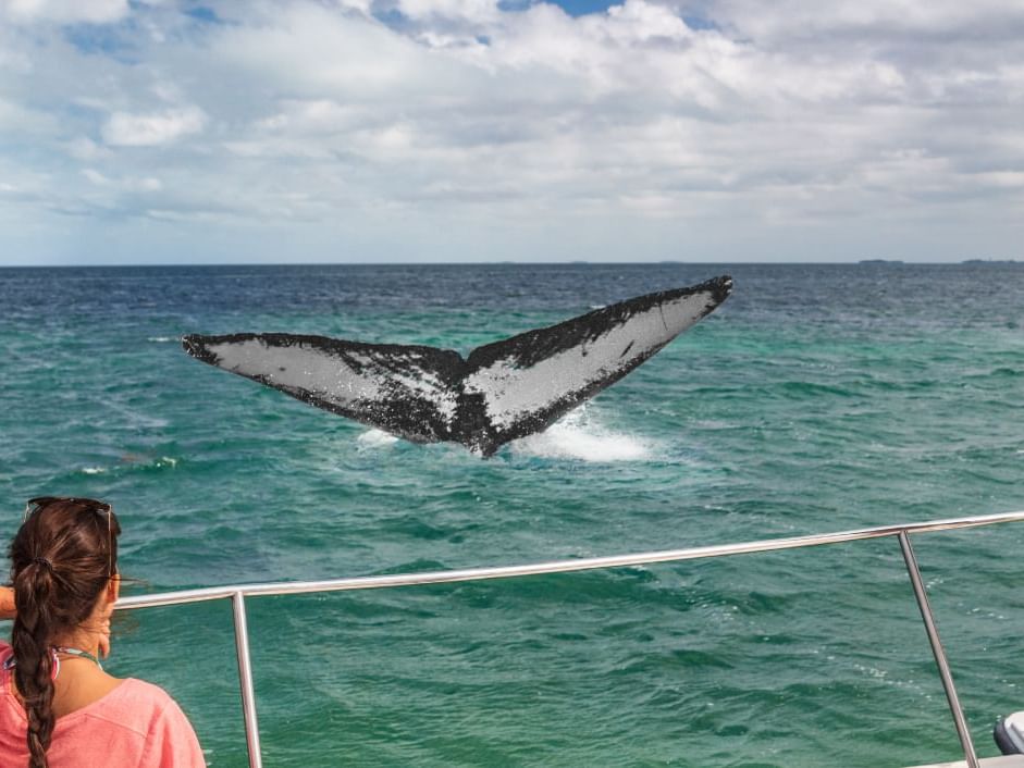 Woman watching a whale from boat on the sea near Live Aqua Resorts