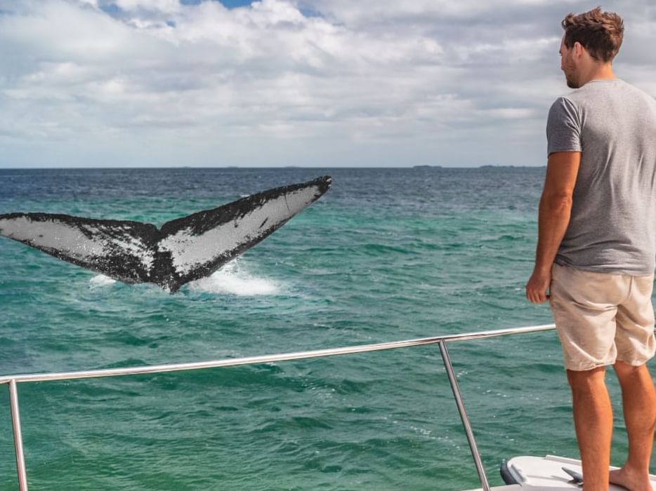 Man watching a whale from boat on the sea near Live Aqua Resorts