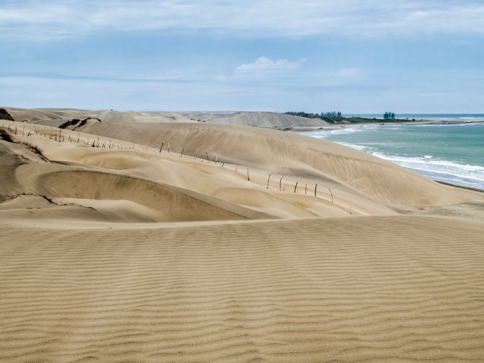 Amplias dunas de arena con postes de madera que conducen hacia el océano cerca de Camino Real Hotels