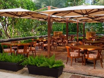 Opera terrace seating area with wooden tables and chairs amidst lush greenery and ferns at Park Hyatt Saigon