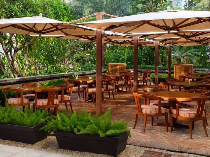 Opera terrace seating area with wooden tables and chairs amidst lush greenery and ferns at Park Hyatt Saigon