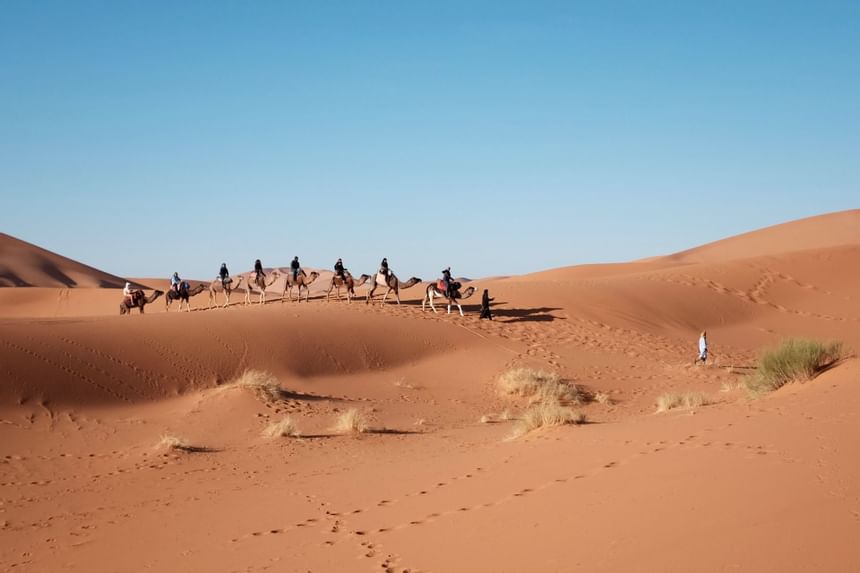 رحلات صحراوية في الكثبان الذهبية مع منتجع سيلين مسيعيد قطر