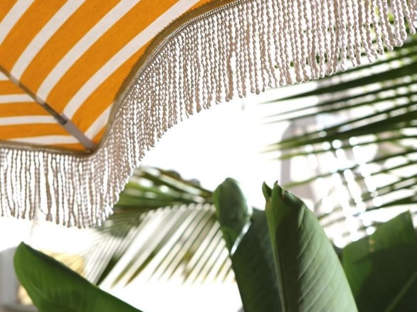 Close up on a beach umbrella and palm leaf at Clinton Hotel