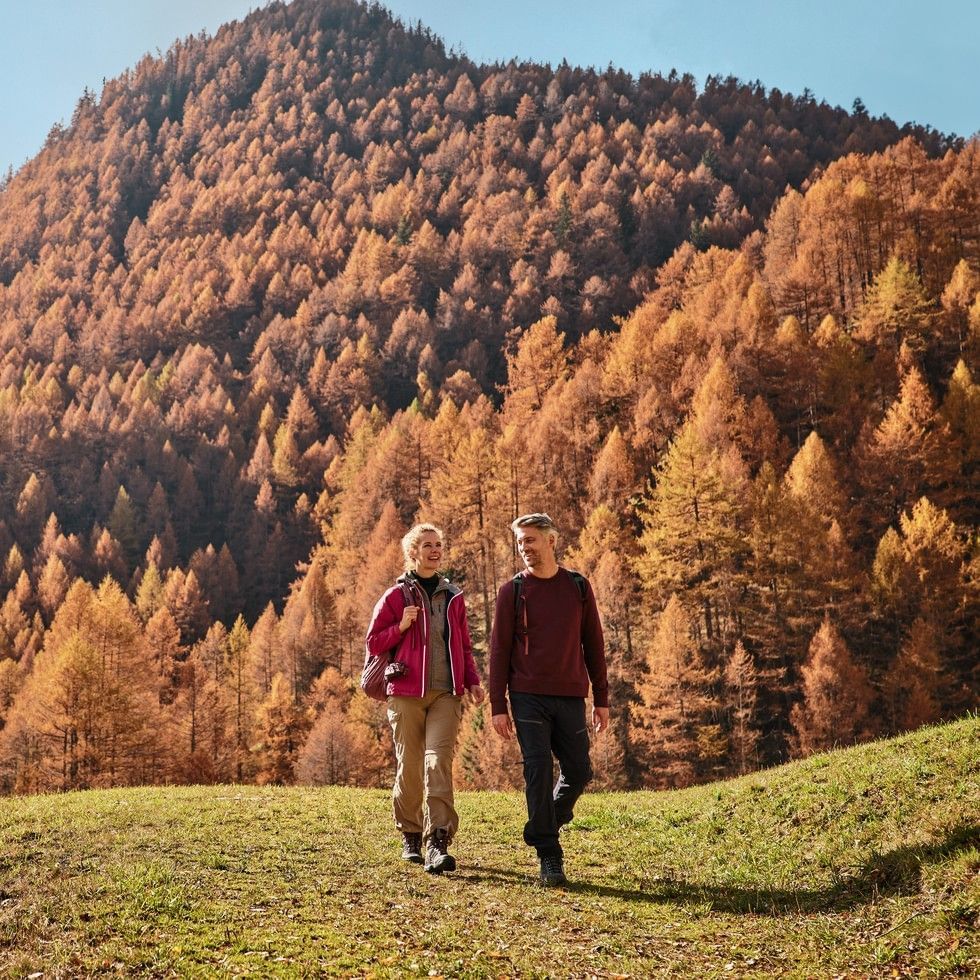 Couple walking on green meadow with autumn orange larch forest behind near Falkensteiner Hotels & Residences