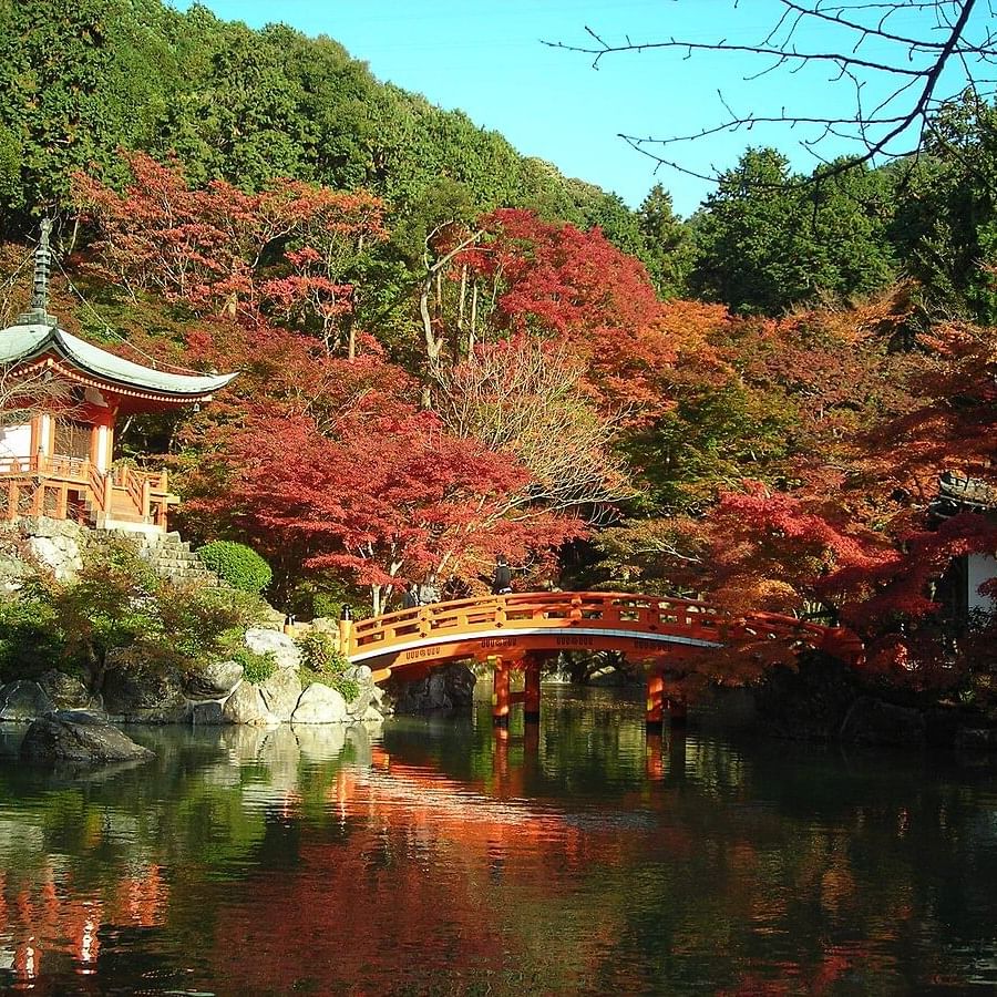 Kyoto in autumn with a traditional bridge over water