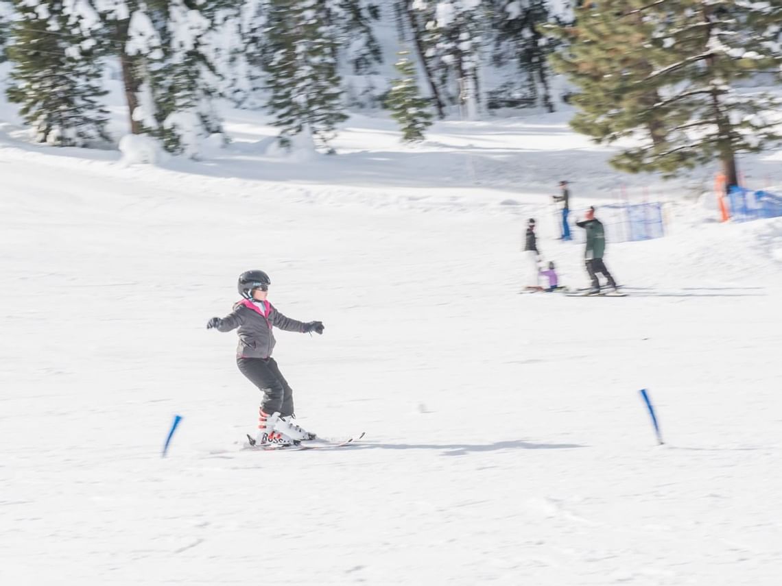 Sled & Ski Hill Granlibakken Tahoe