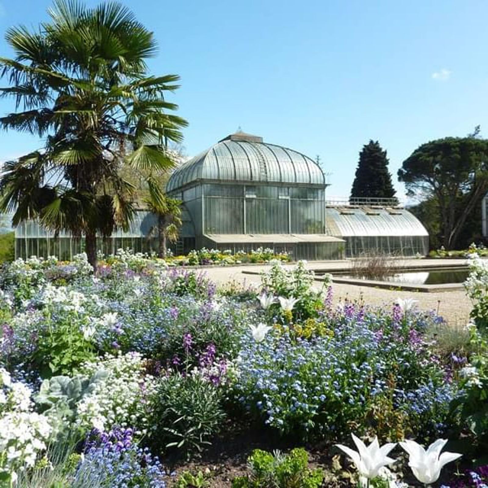 Jardin Botanique with Glass conservatory by a pond surrounding flower beds near Warwick Geneva