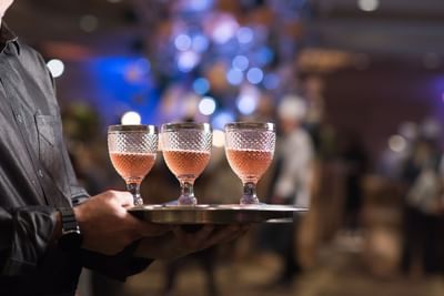 bartender serving cocktails