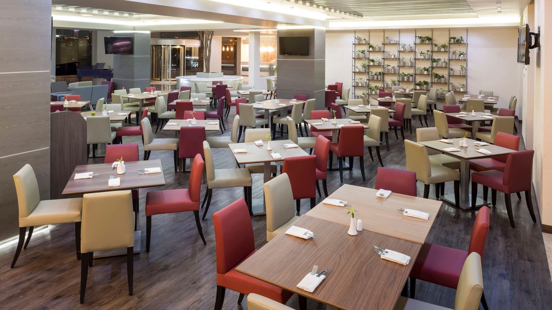Dining area featuring shelves with plants, adorns the back wall in the Stock Cafe at Real Inn San Luis Potosi