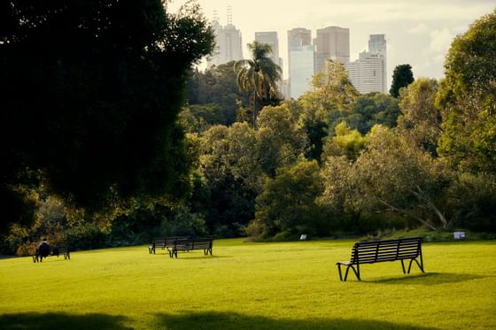 The Royal Botanical Gardens near The Kinson