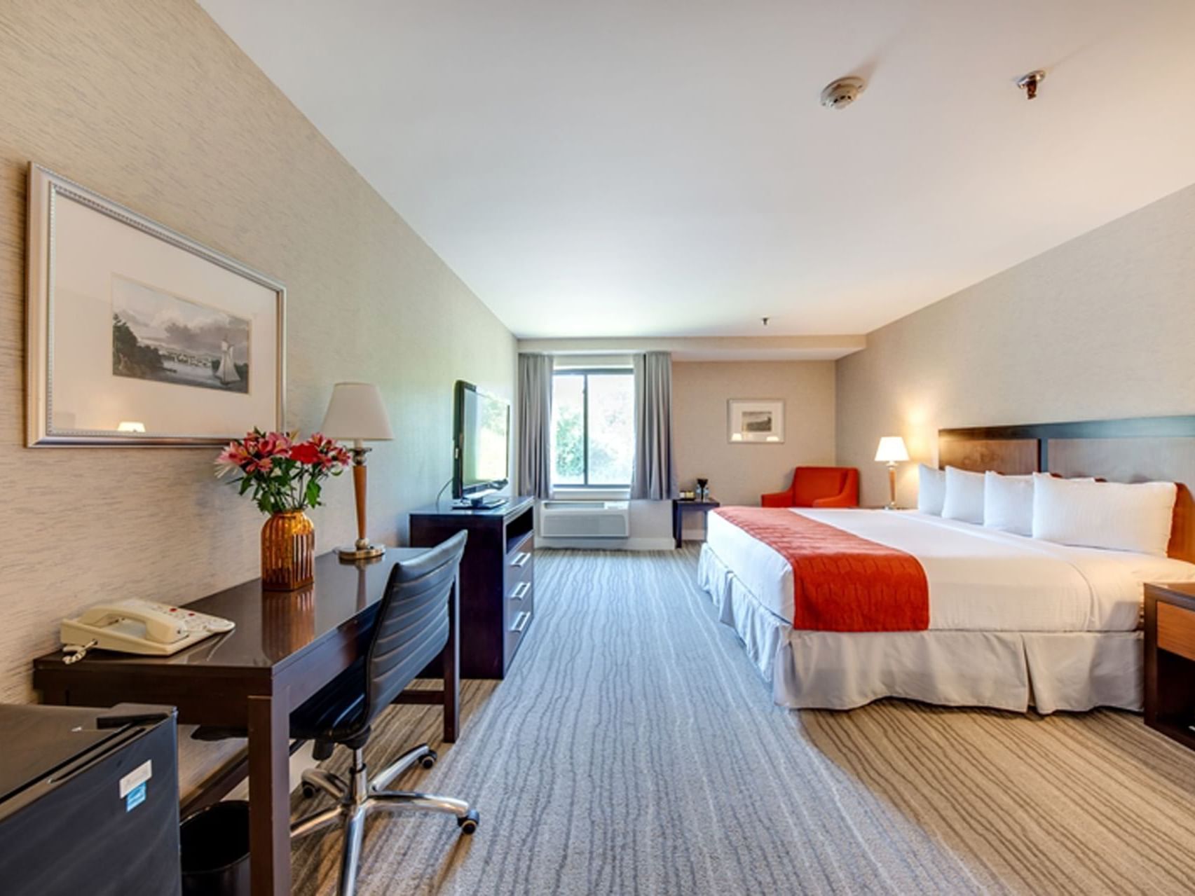 King room with bed, desk & chair, window with light pouring into room