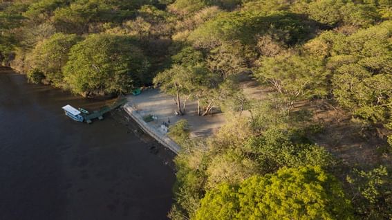 Palo Verde Parque Nacional