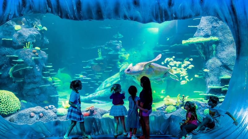 SEA LIFE SYDNEY AQUARIUM