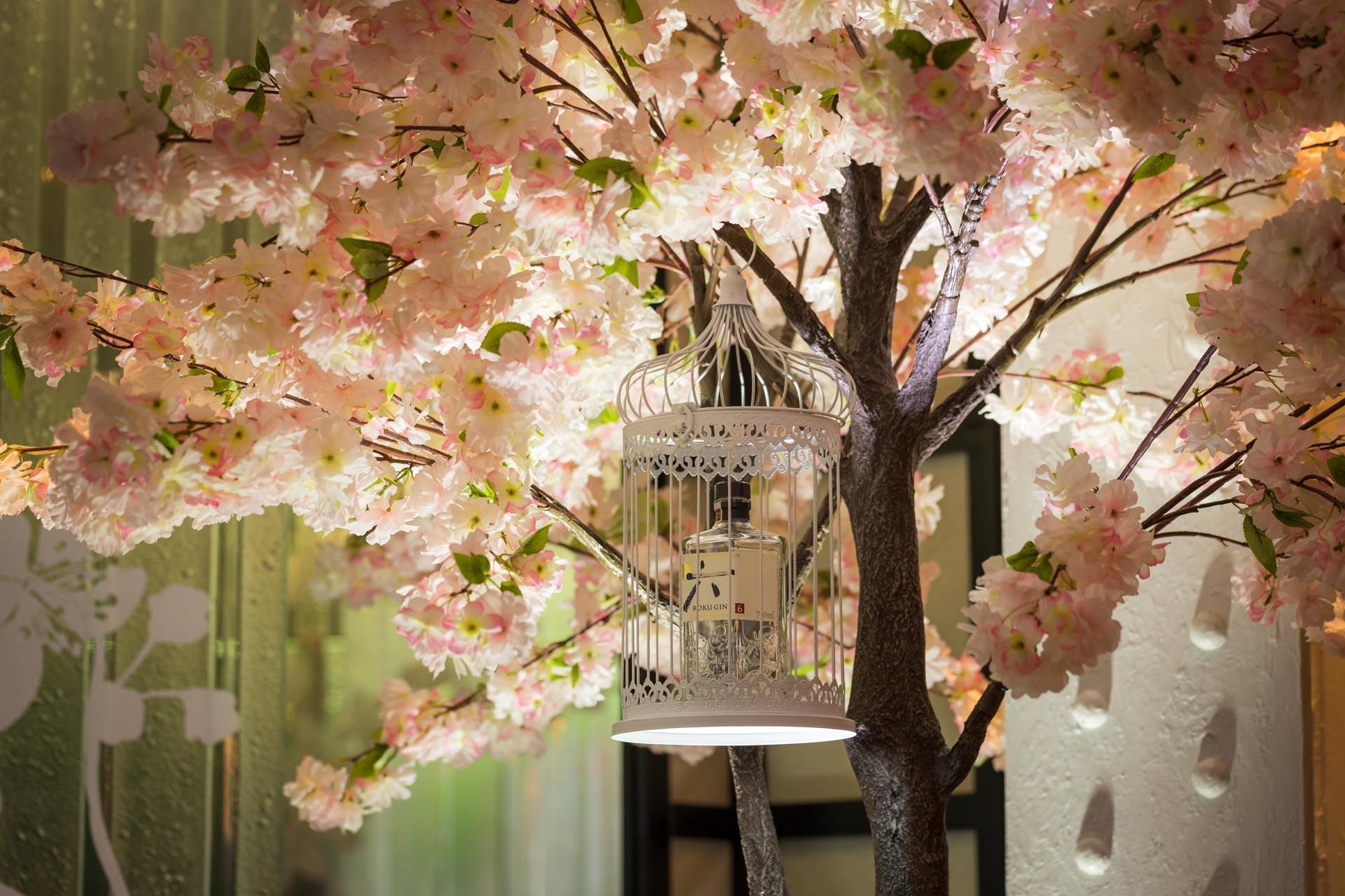 Closeup on a cherry blossom near The May Fair Hotel London