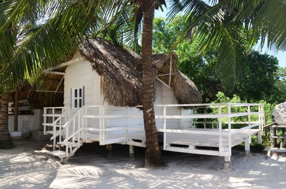 Cottage house surround by trees by the beach near 3C Hotels