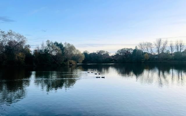 blue skies at goldsworth park lake in woking