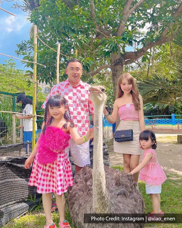 a family taking a picture with an ostrich