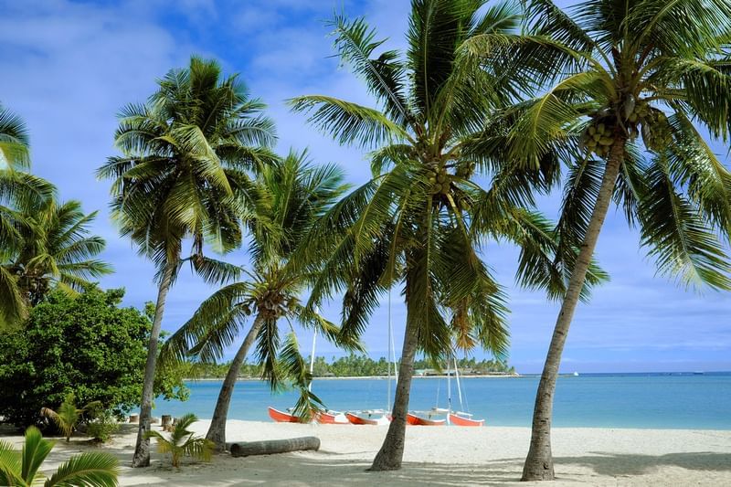 Musket Beach | Musket Cove Island Resort and Marina