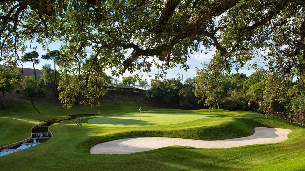 Golf course bunker and green placed near a small stream, under a large, shady oak tree at the Marbella Club