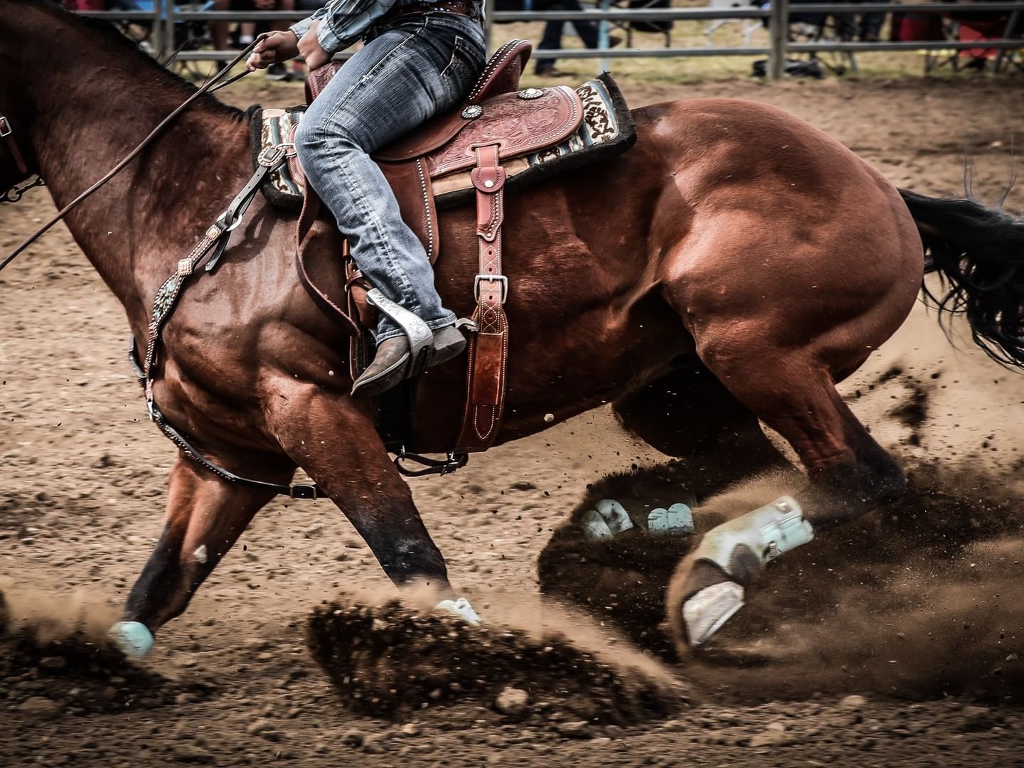 a person riding a horse