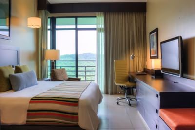 Habitación Jr Suite King