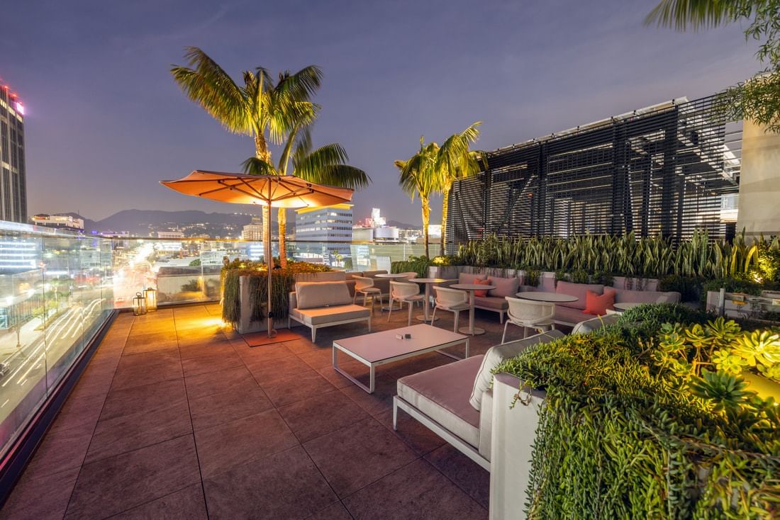 A rooftop bar with outdoor seating, palm trees, and a city view at dusk.