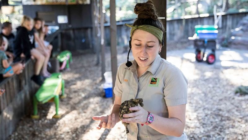 A zookeeper holding a small turtle with onlookers in the background near Mercure Kooindah Waters