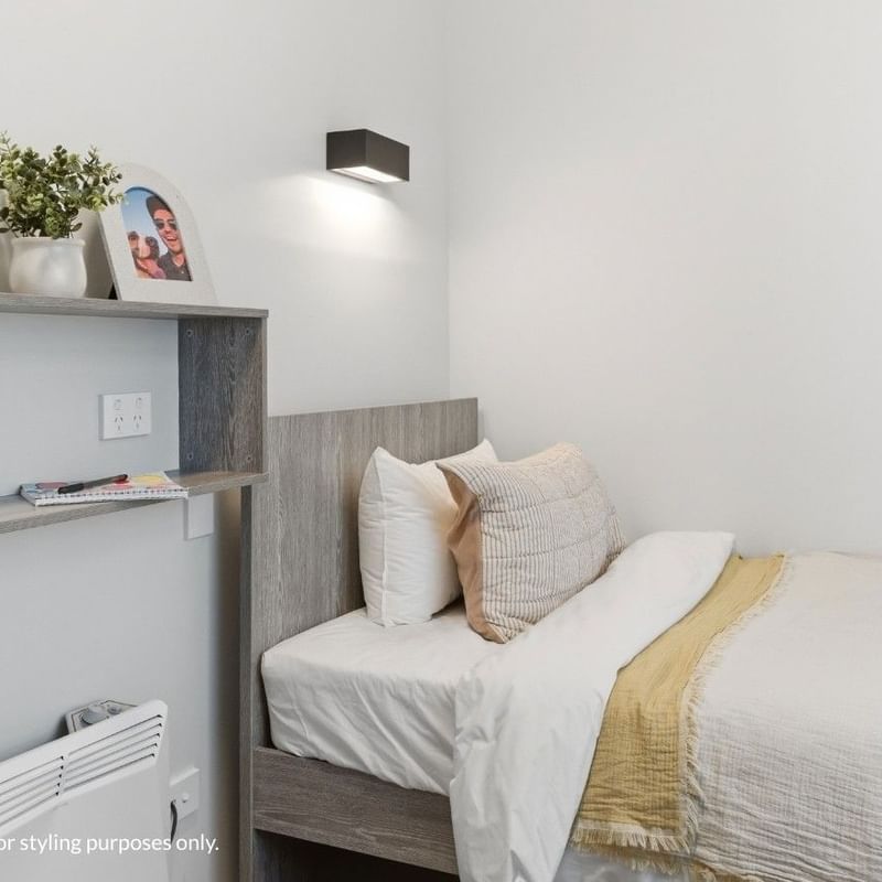 Bedroom with bed, pillow, lamp, and plant on shelf at Mayoral Drive Student Accommodation.