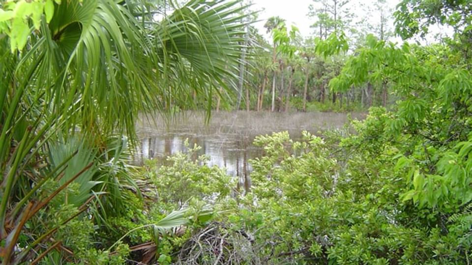 Long Creek Nature Preserve near Legacy Vacation Resorts