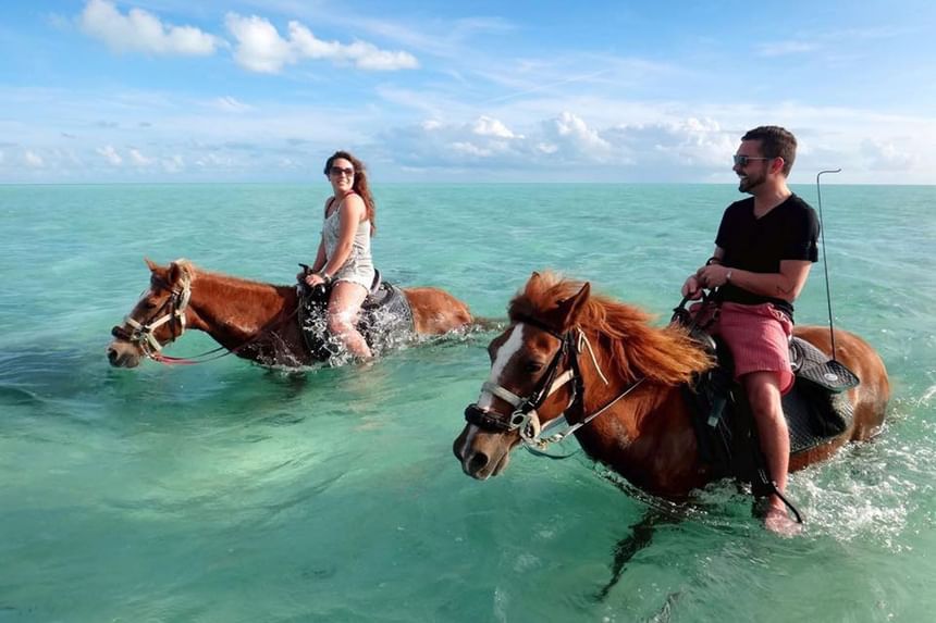 Horseback riding in ocean at Windsong Resort On The Reef