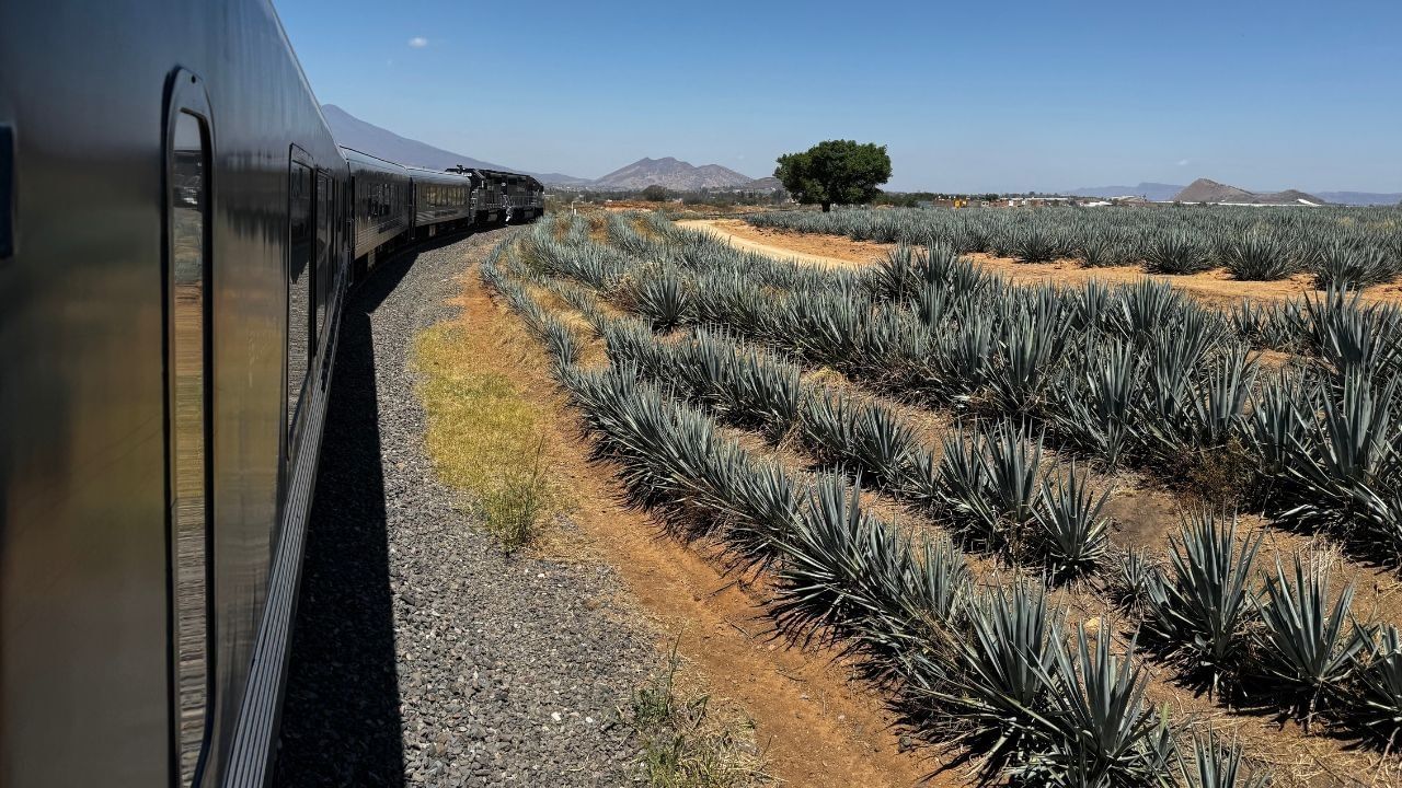 atractivos Guadalajara Tequila