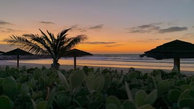 Sunset on the beach, palm trees & huts at Ajman Hotel