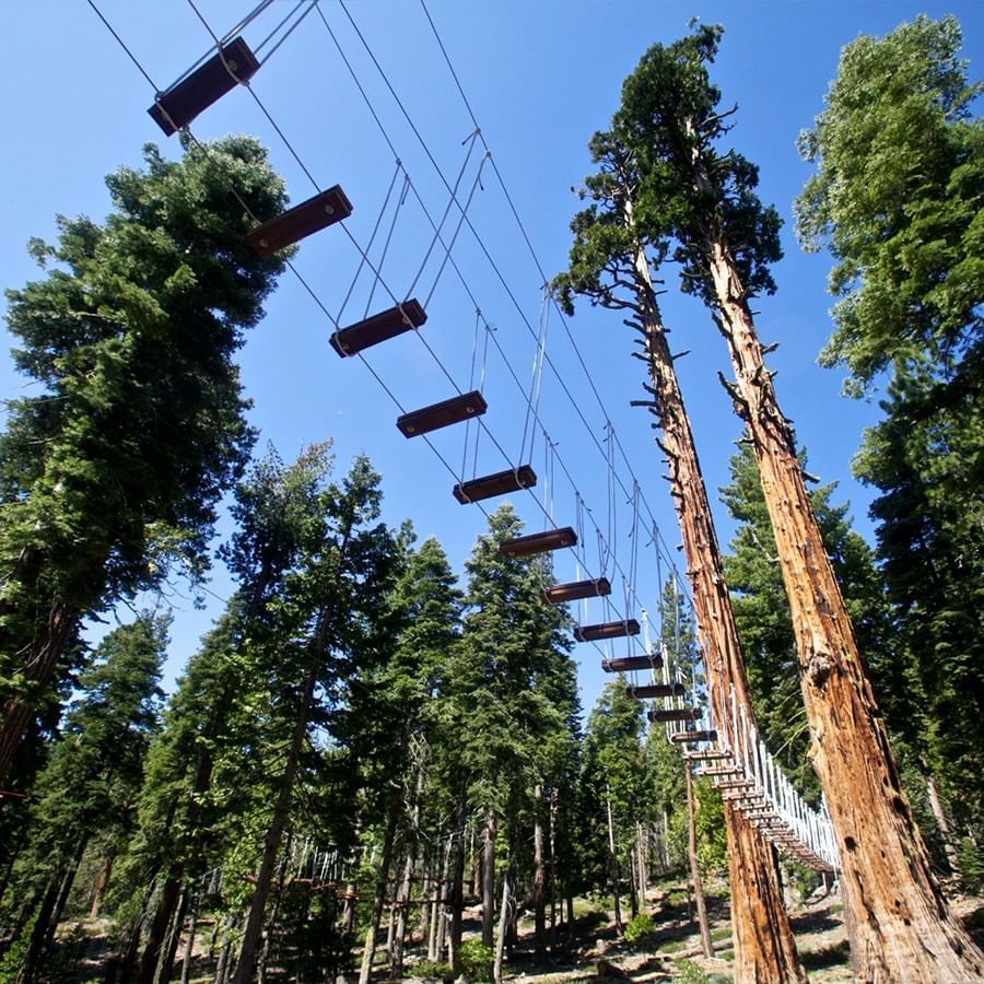 Treetop Adventure park at Granlibakken Tahoe