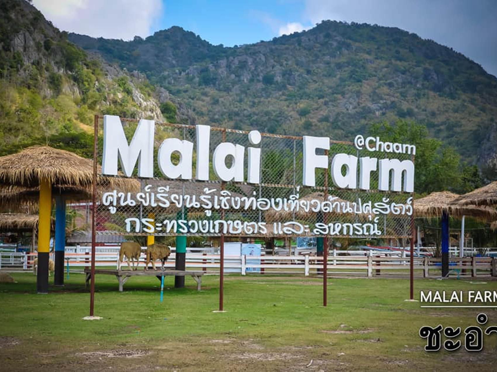 Sign board by the Entrance of Malai Farm Cha-am near U Hua Hin