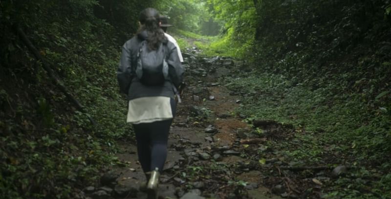 Walking along a rainforest trail