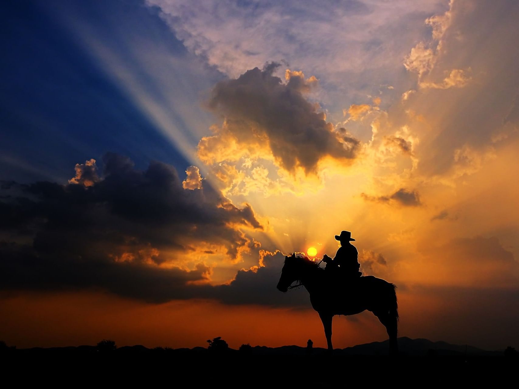 Man in a cowboy outfit with his horse near MCM Eleganté Suites