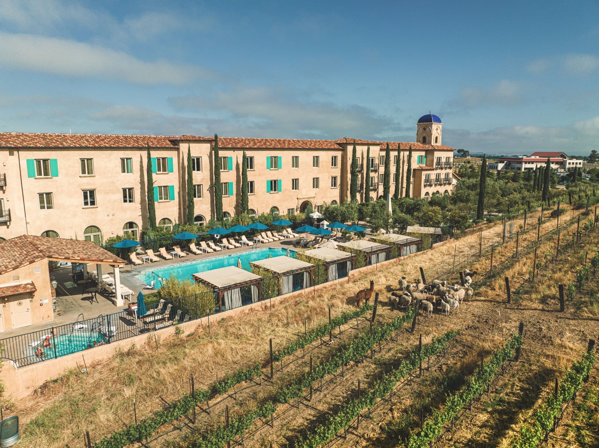 Lorem ipsum Wide angle of hotel, pool and vineyard