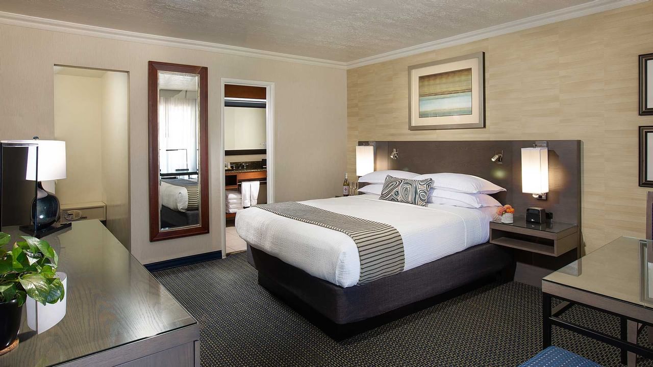 Coast Queen with Partial View