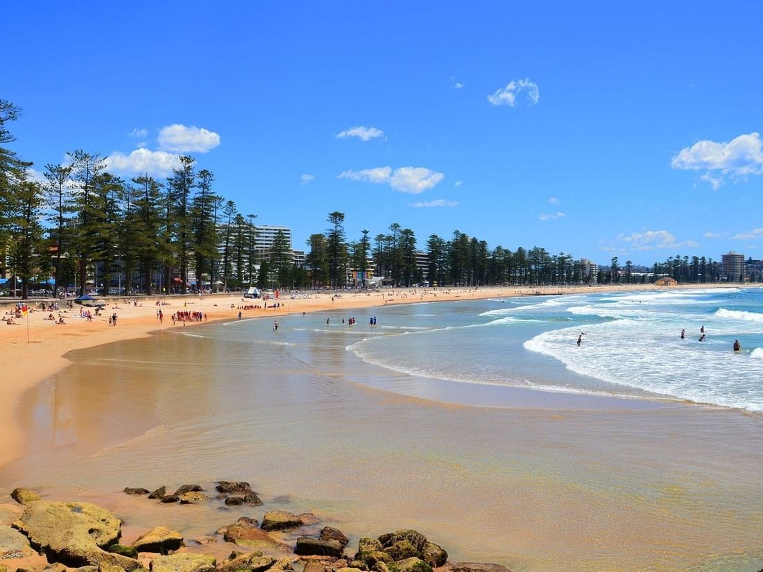 Attractive manly beach near the Sebel Residence Chatswood