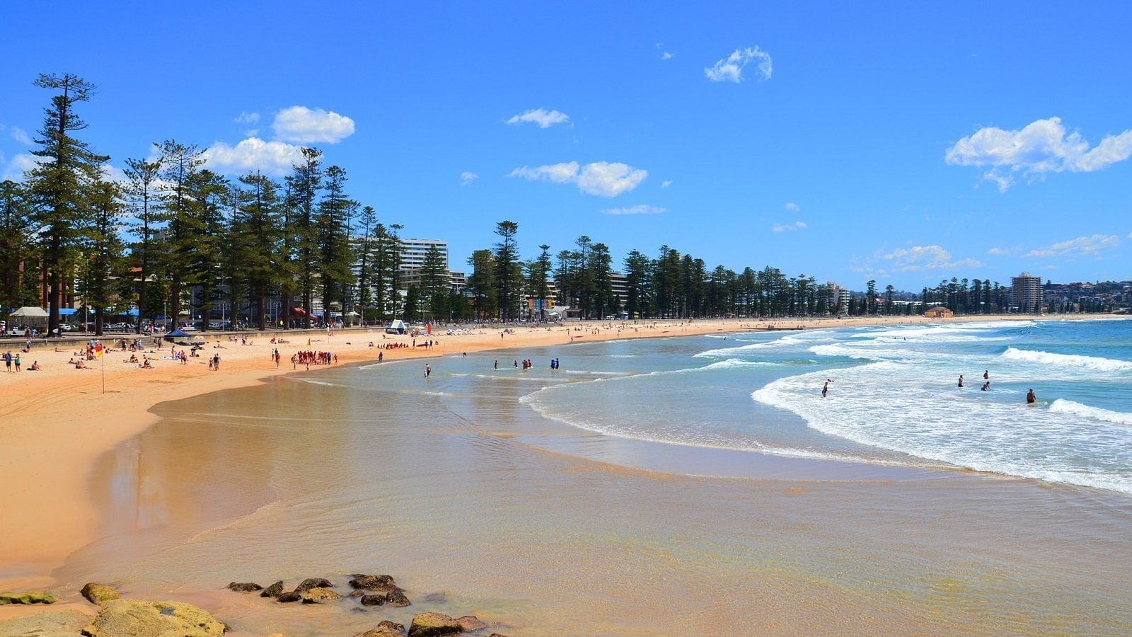 Attractive manly beach near the Sebel Residence Chatswood