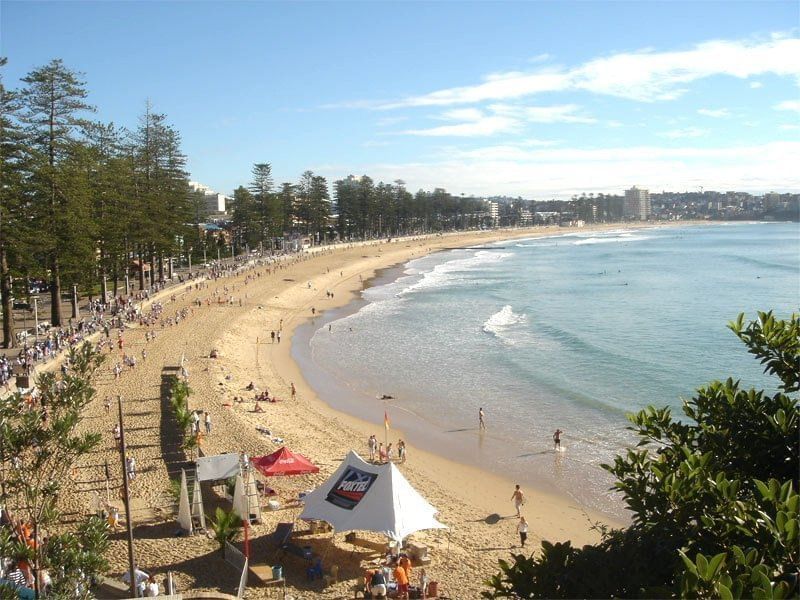 Aerial view of Manly Beach near Pullman Quay Grand Sydney