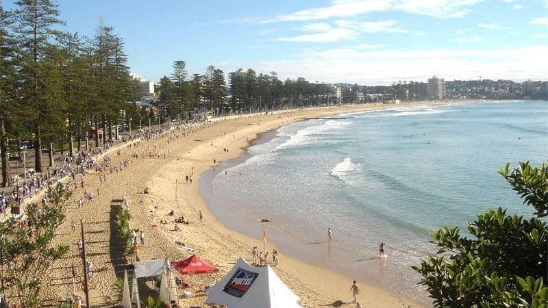 Aerial view of Manly Beach near Pullman Quay Grand Sydney