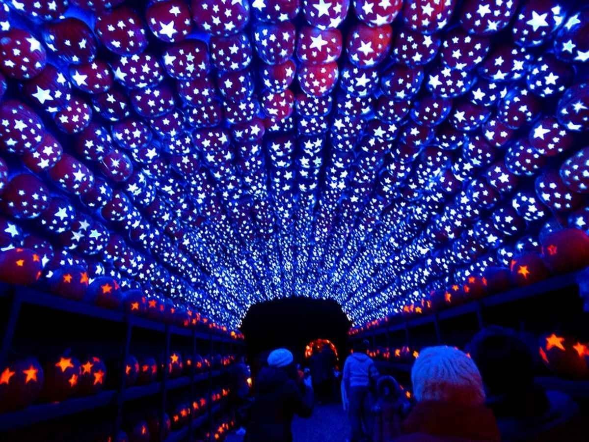 The Great Jack O Lantern Blaze