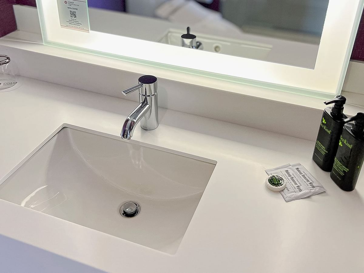 Washroom sink and soap