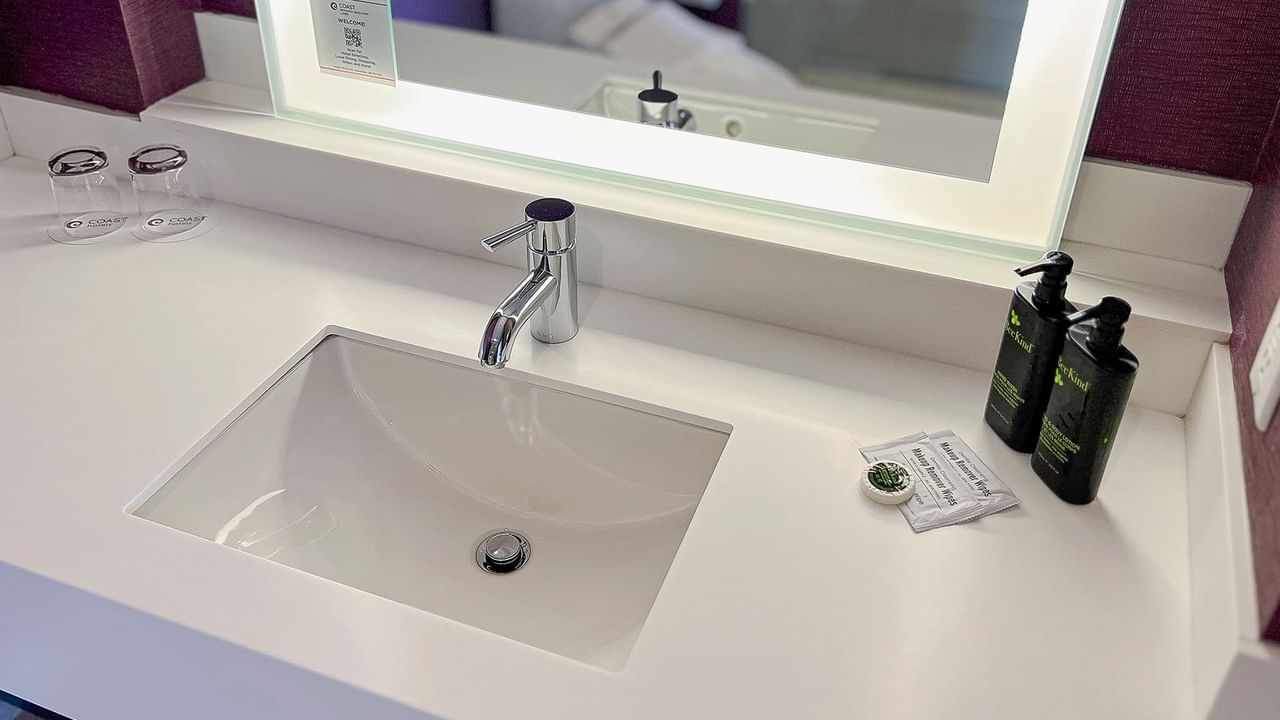 Washroom sink and soap