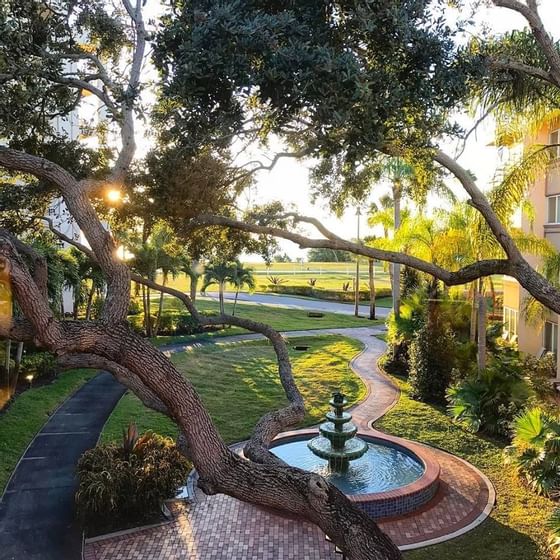 Garden with trees and sidewalks at Safety Harbor & Resort