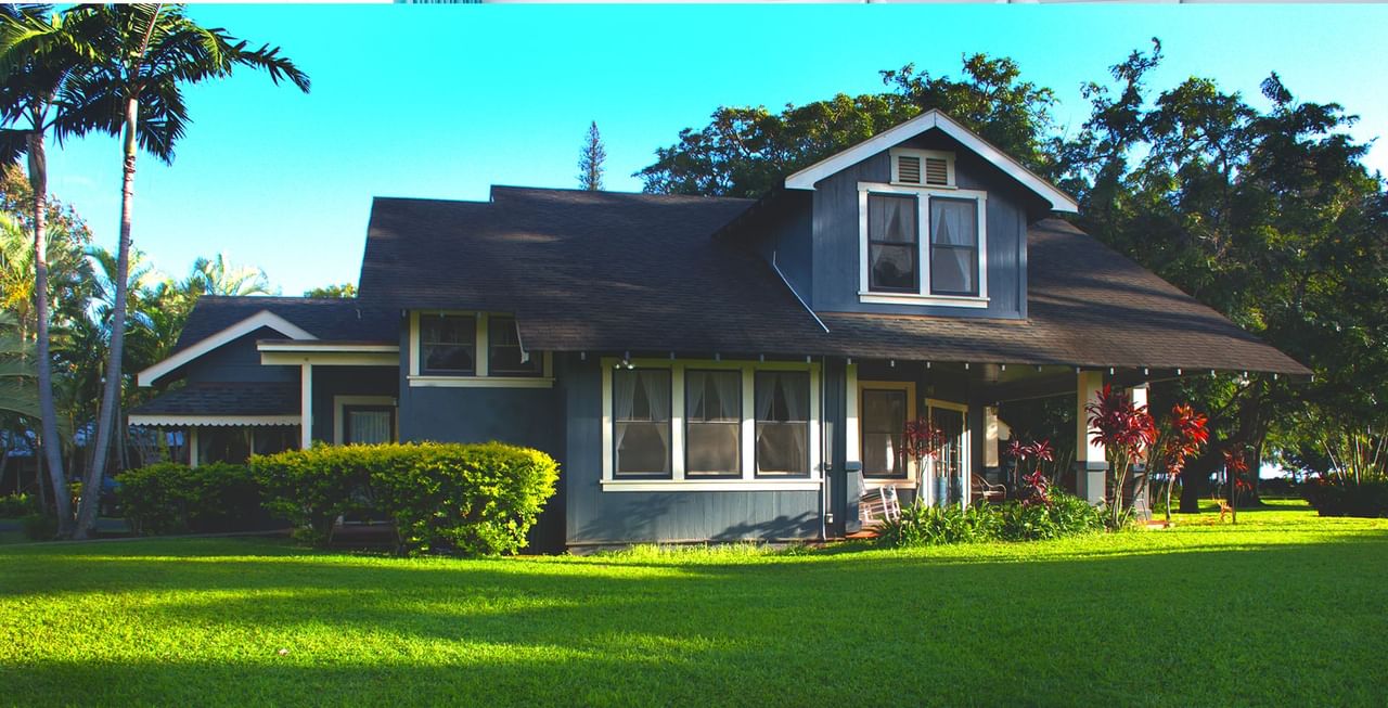 Cottage surrounded by trees