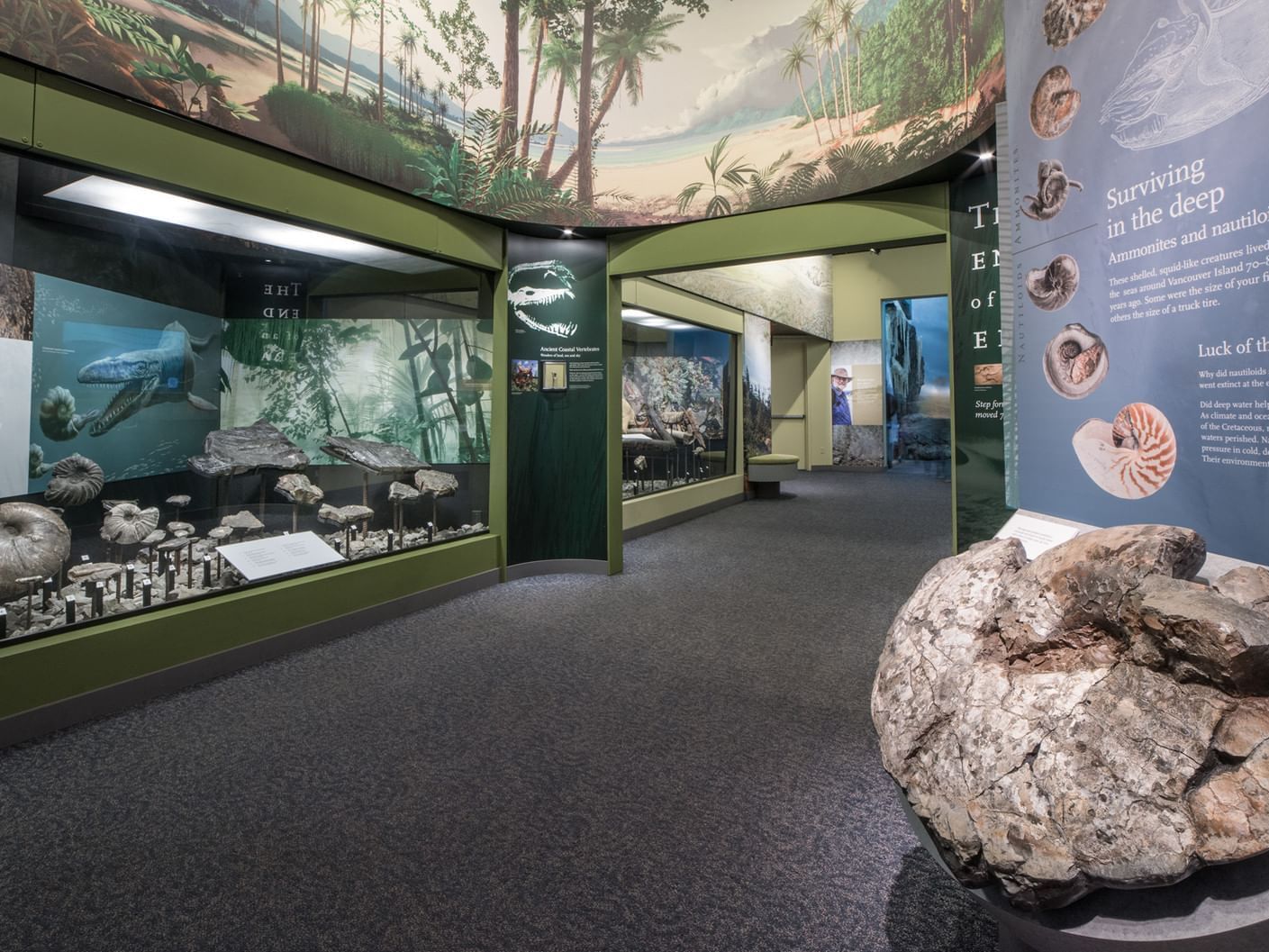 Reptile skeletons & a rock nearby on display in Royal BC Museum near Huntingdon Manor 
