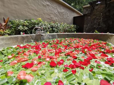 Tub with herbs & flower petals featuring Baths & Hair at The Banjaran Hotsprings Retreat