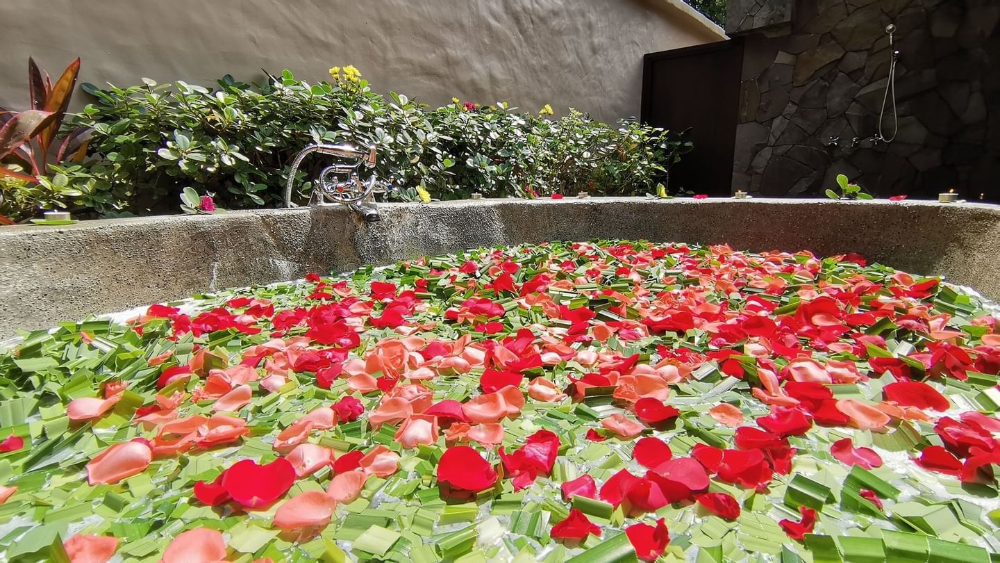 Tub with herbs & flower petals featuring Baths & Hair at The Banjaran Hotsprings Retreat